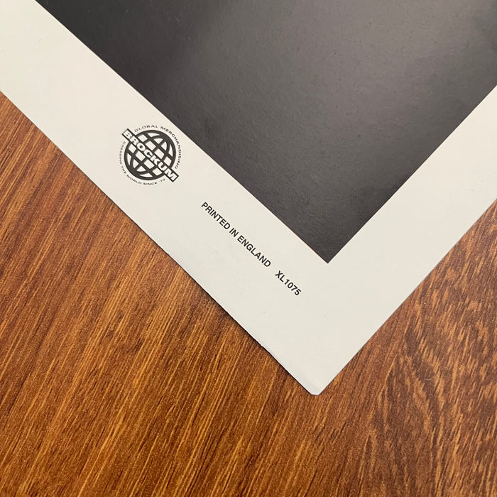 Pink Floyd - The Dark Side Of The Moon (Vintage Poster)