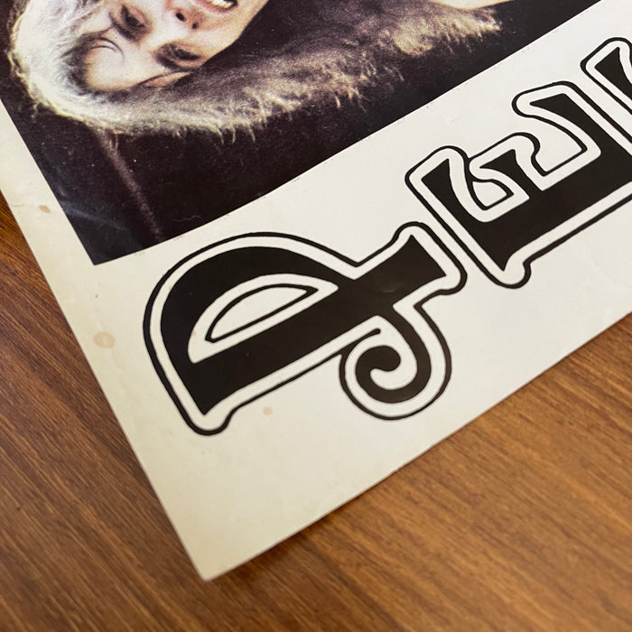 Peter Frampton (Vintage Poster)