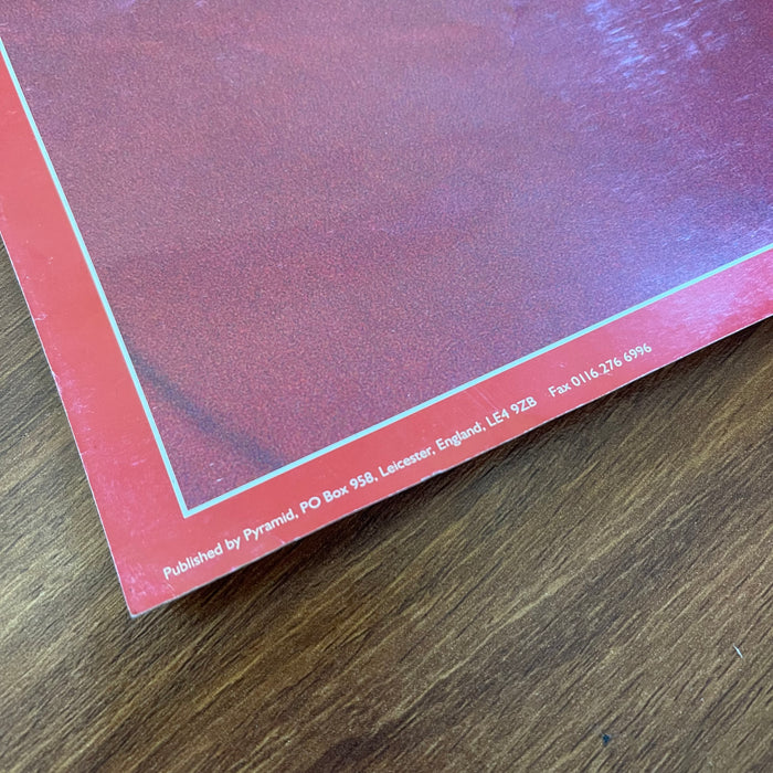 Dave Matthews Band - Member Closeups (Vintage Poster)