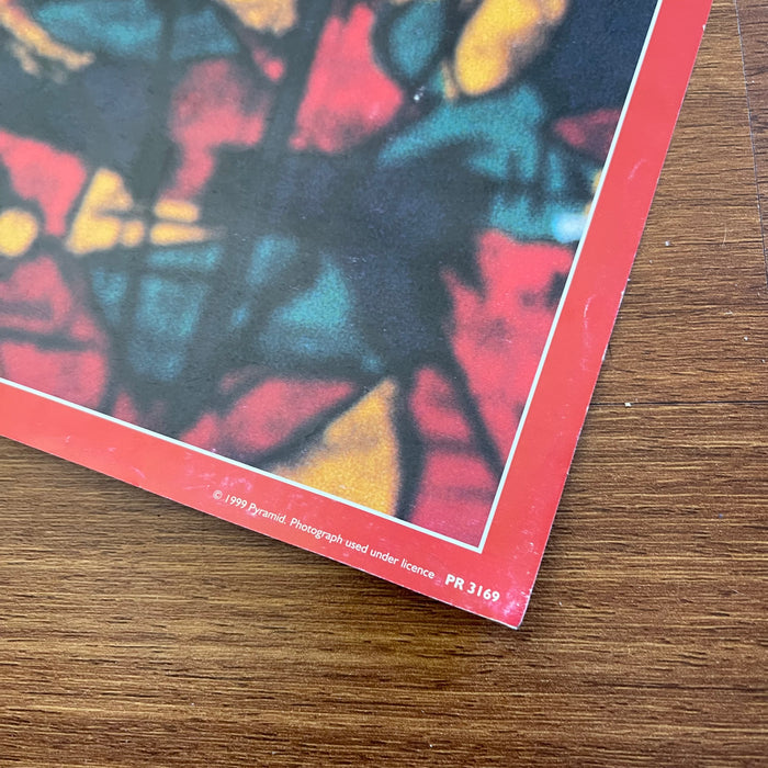 Dave Matthews Band - Member Closeups (Vintage Poster)