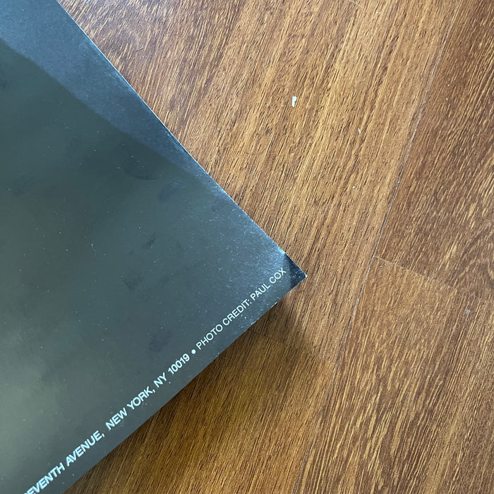 The Cure - Robert Smith (Vintage Poster)