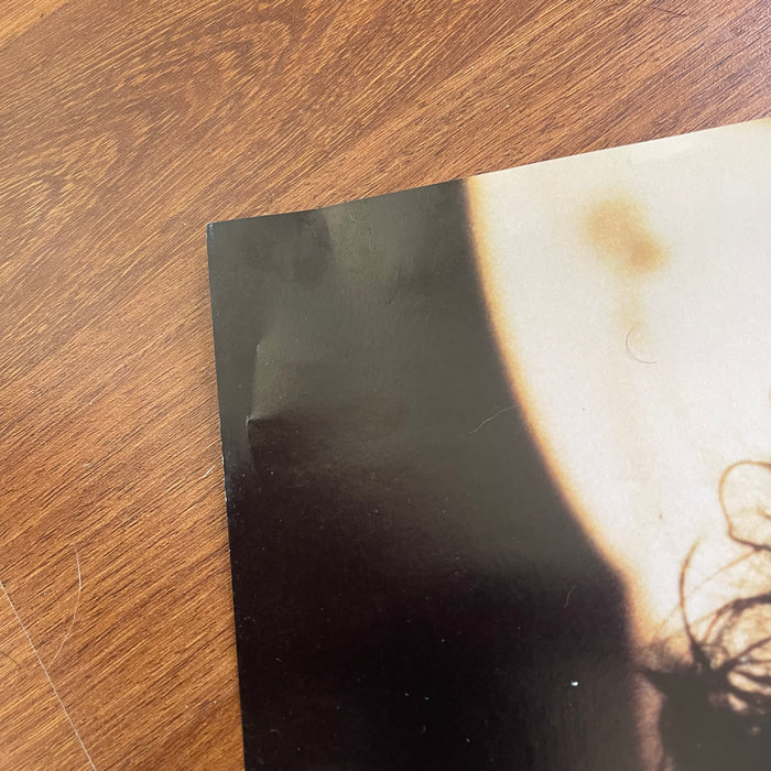 The Cure - Robert Smith (Vintage Poster)