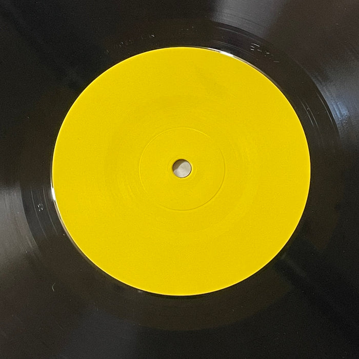 Dead Kennedys - A Skateboard Party (Vinyl LP)