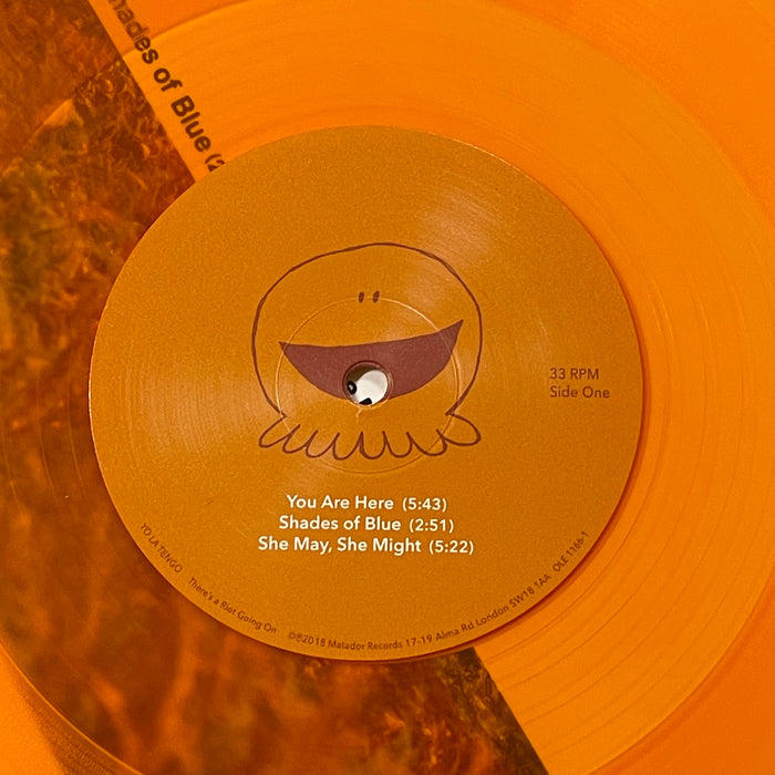 Yo La Tengo - There's A Riot Going On (Vinyl 2LP)