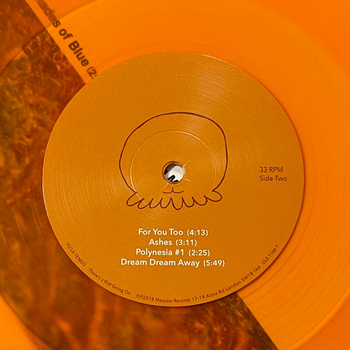 Yo La Tengo - There's A Riot Going On (Vinyl 2LP)