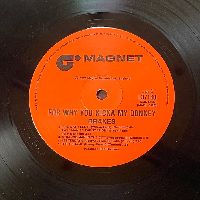 Brakes - For Why You Kicka My Donkey? (Vinyl LP)