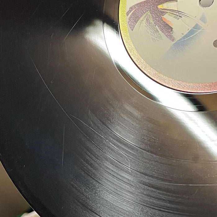 Melissa Etheridge - Brave And Crazy (Vinyl LP)