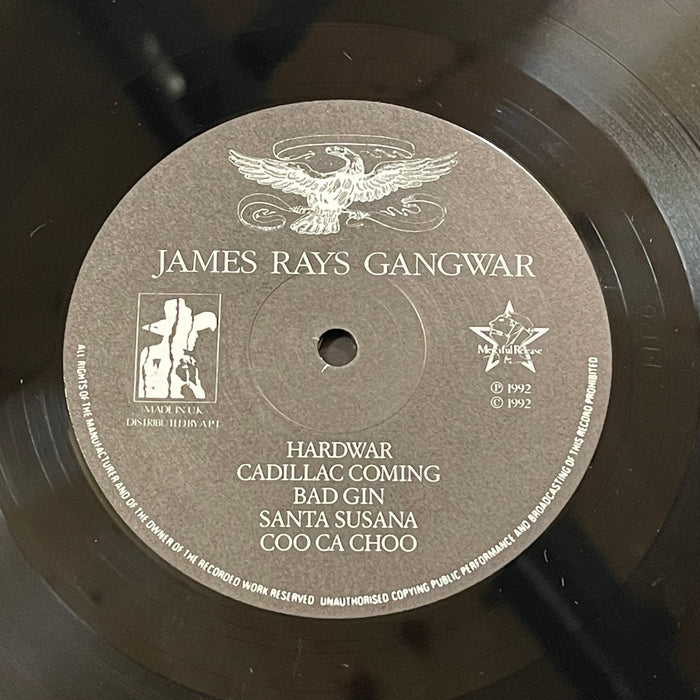 James Rays Gangwar - Dios Está De Nuestro Lado (Vinyl LP)