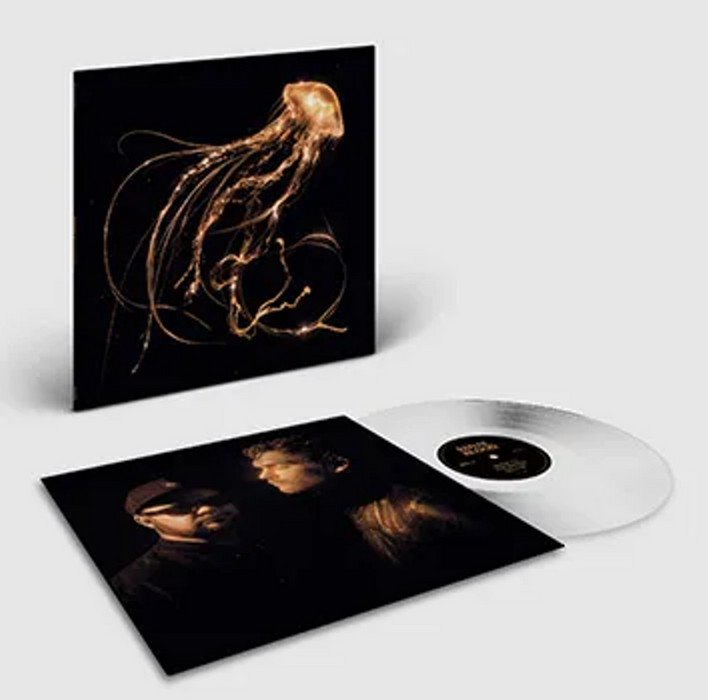 Royal Blood - Back To The Water Below (Vinyl LP)