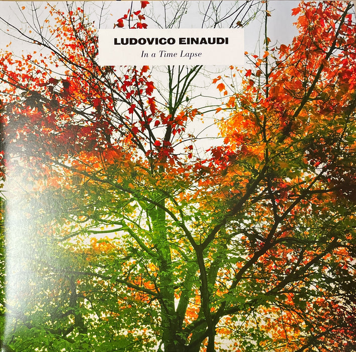 Ludovico Einaudi - In A Time Lapse (Vinyl 2LP)[Gatefold]