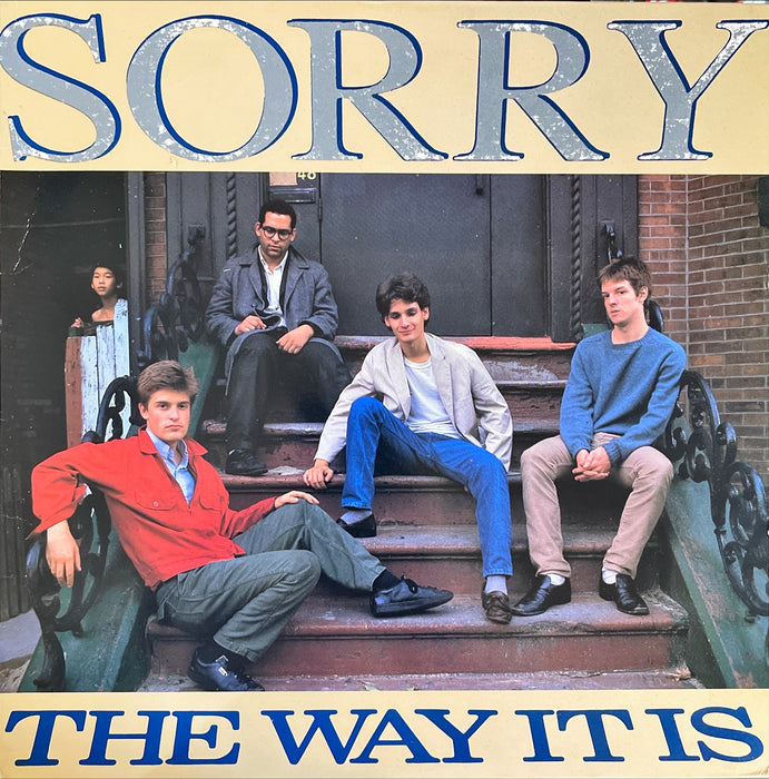 Sorry - The Way It Is (Vinyl LP)