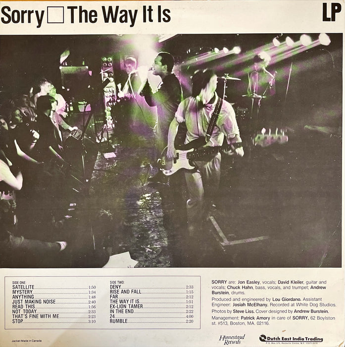 Sorry - The Way It Is (Vinyl LP)
