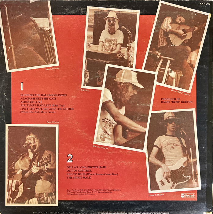 The Amazing Rhythm Aces ‎- Burning The Ballroom Down (Vinyl LP)