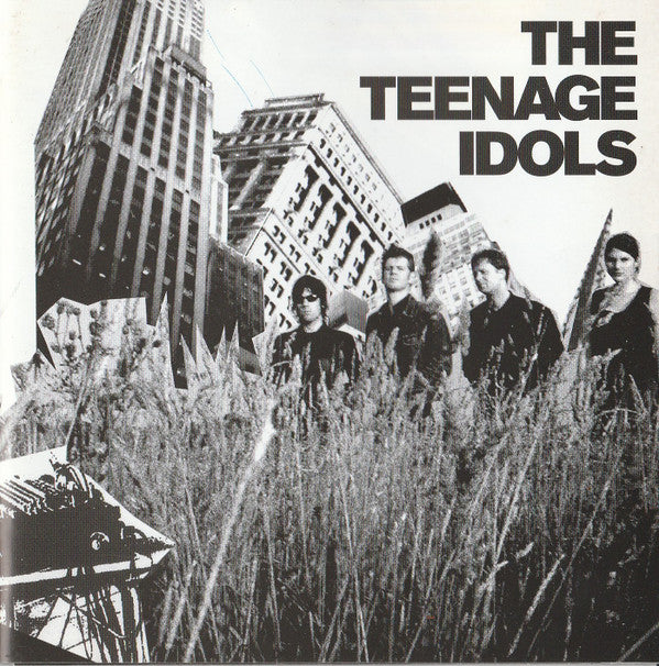 The Teenage Idols - The Teenage Idols (CD)
