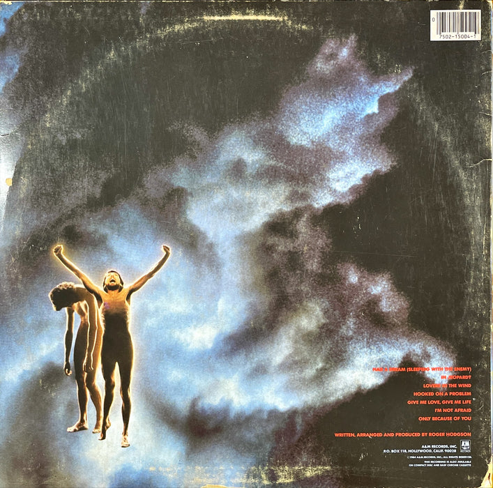 Roger Hodgson - In The Eye Of The Storm (Vinyl LP)