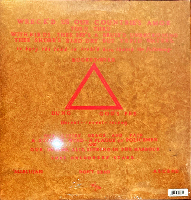 Godspeed You Black Emperor! - 'Allelujah! Don't Bend Ascend (Vinyl LP, 7" Vinyl)