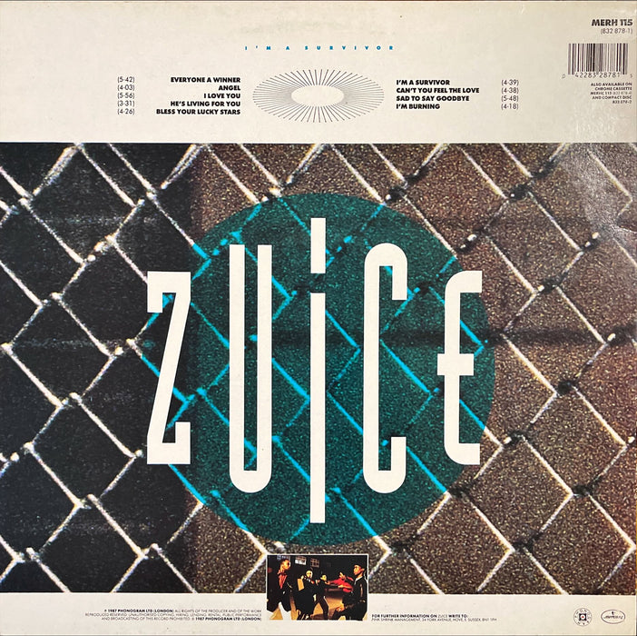 Zuice - I'm A Survivor (Vinyl LP)