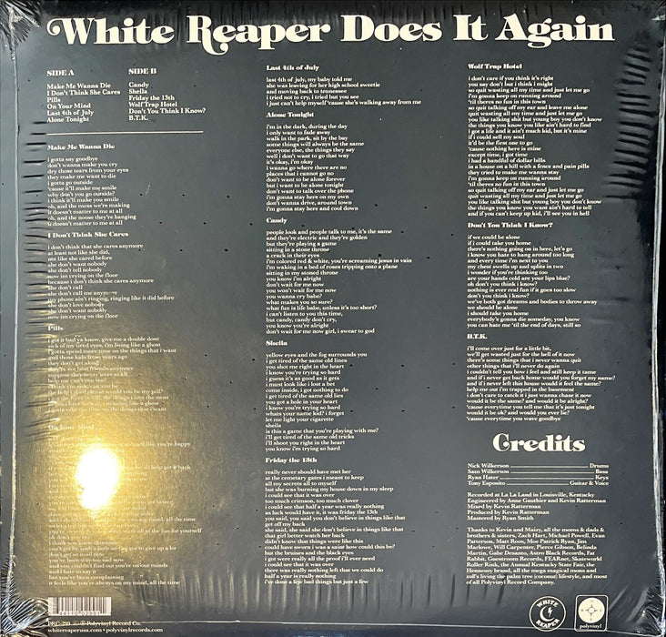 White Reaper - White Reaper Does It Again (Vinyl LP)