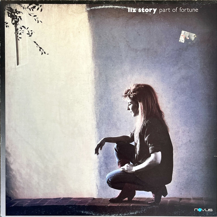 Liz Story - Part Of Fortune (Vinyl LP)