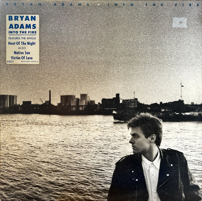 Bryan Adams - Into The Fire (Vinyl LP)