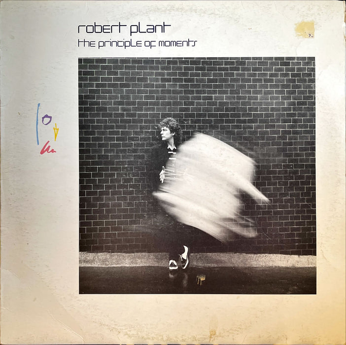 Robert Plant - The Principle Of Moments (Vinyl LP)