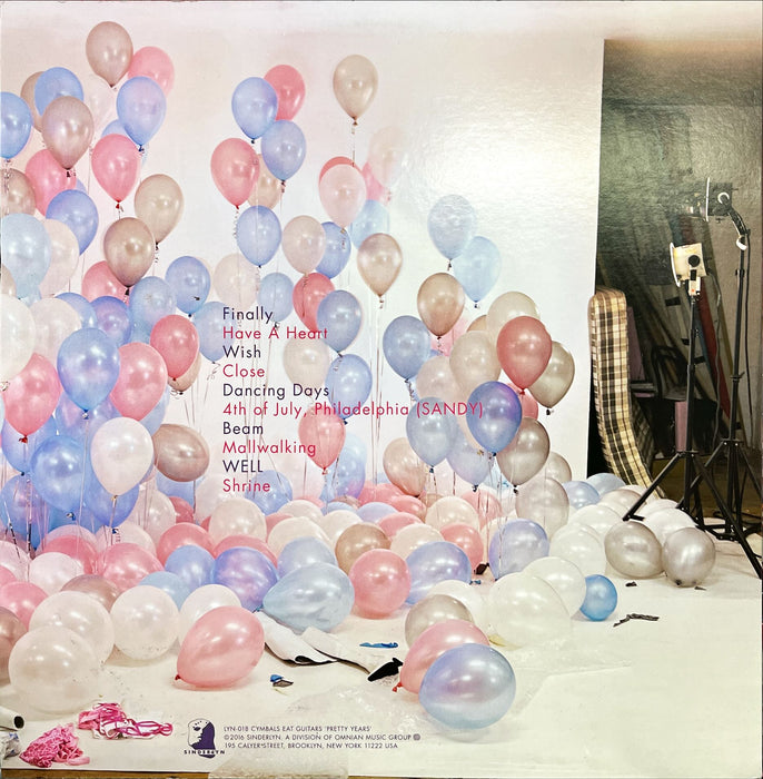 Cymbals Eat Guitars - Pretty Years (Vinyl LP)