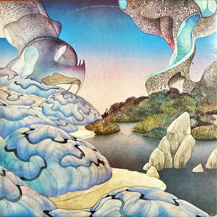 Steve Howe - Beginnings (Vinyl LP)[Gatefold]