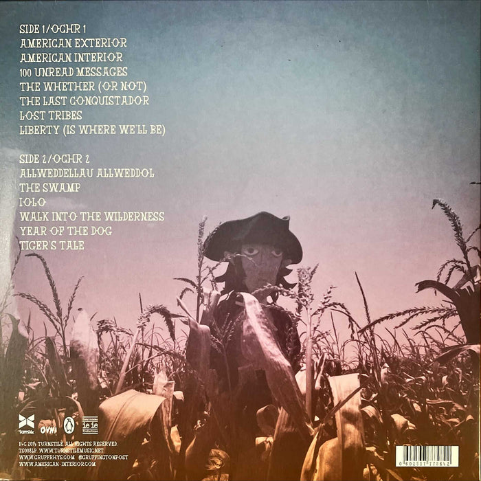 Gruff Rhys - American Interior (Vinyl LP, CD)[Gatefold]