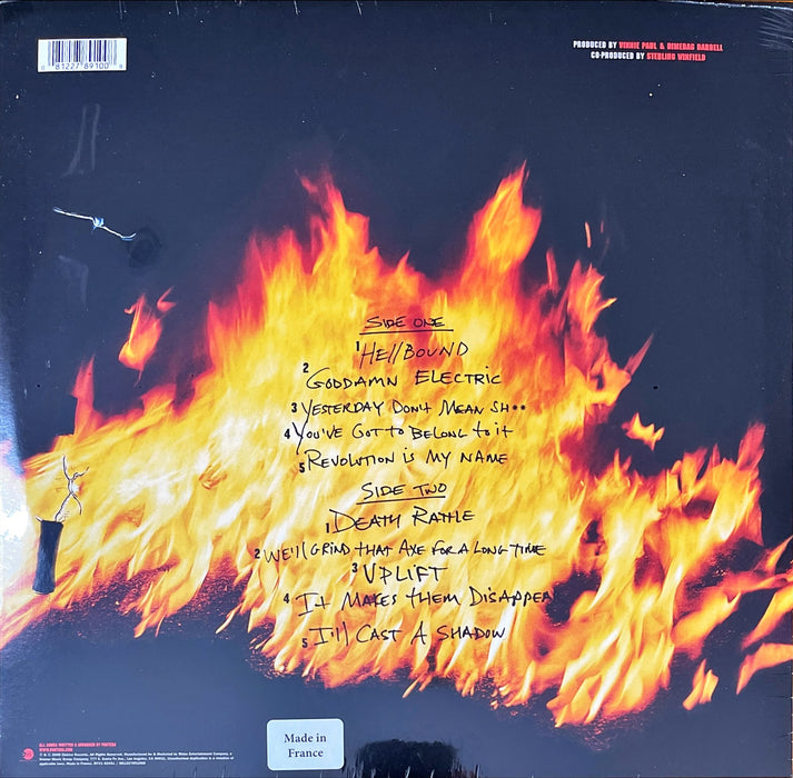 Pantera - Reinventing The Steel (Vinyl LP)