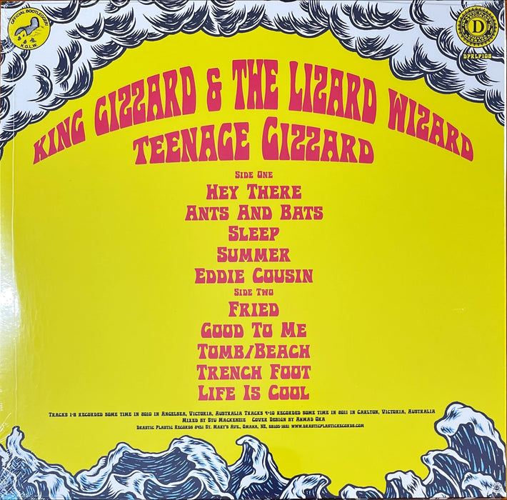 King Gizzard And The Lizard Wizard - Teenage Gizzard (Vinyl LP)