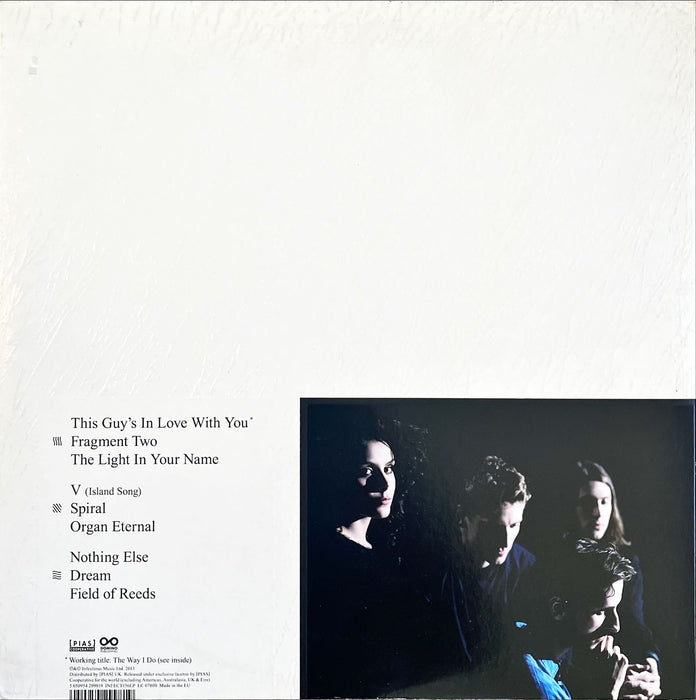 These New Puritans - Field Of Reeds (Vinyl 2LP)[Gatefold]
