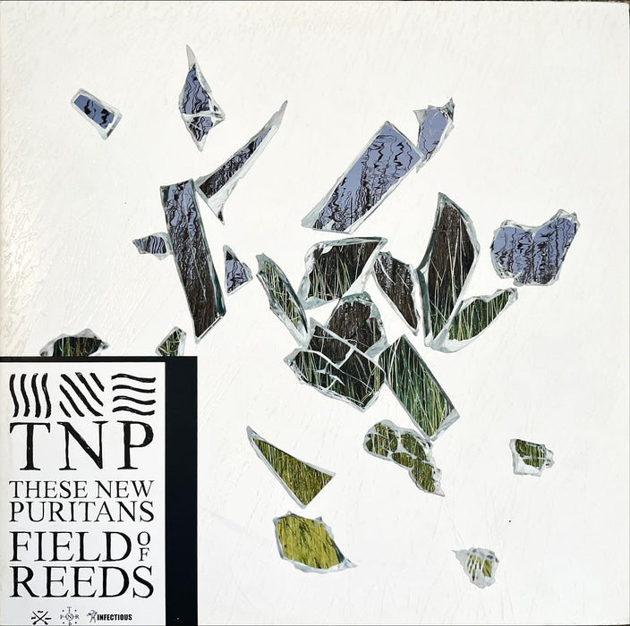 These New Puritans - Field Of Reeds (Vinyl 2LP)[Gatefold]