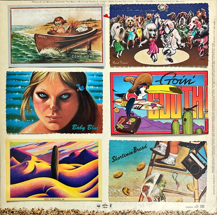 The Beach Boys - L.A. (Light Album) (Vinyl LP)