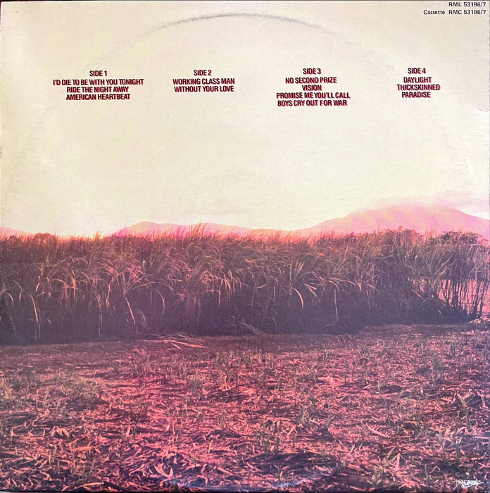 Jimmy Barnes - For The Working Class Man (Vinyl 2LP)[Gatefold]