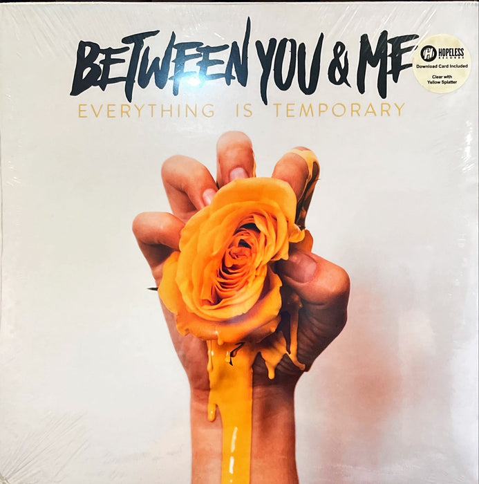 Between You and Me - Everything Is Temporary (Vinyl LP)