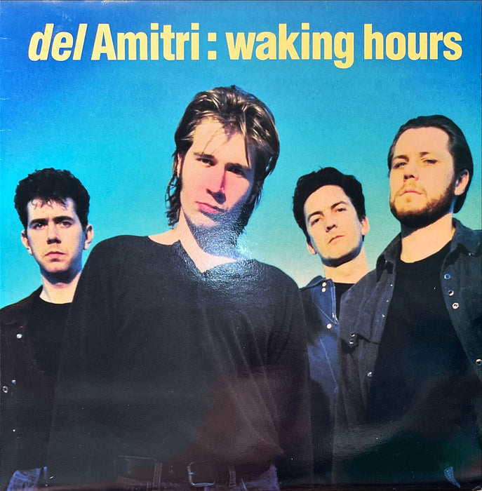 Del Amitri - Waking Hours (Vinyl LP)