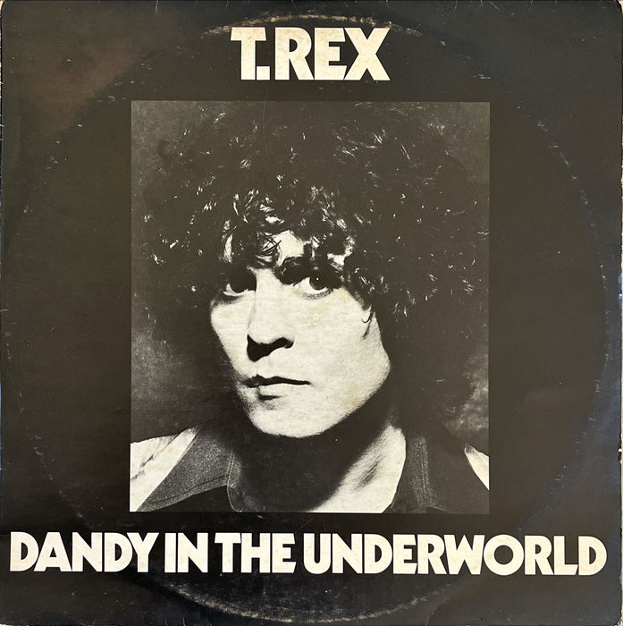 T. Rex - Dandy In The Underworld (Vinyl LP)
