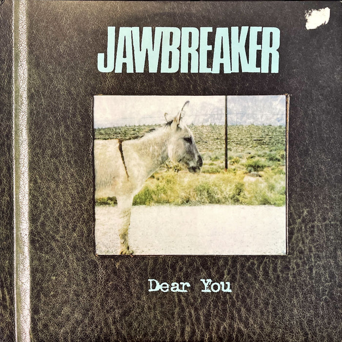 Jawbreaker - Dear You (Vinyl 2LP)[Gatefold]