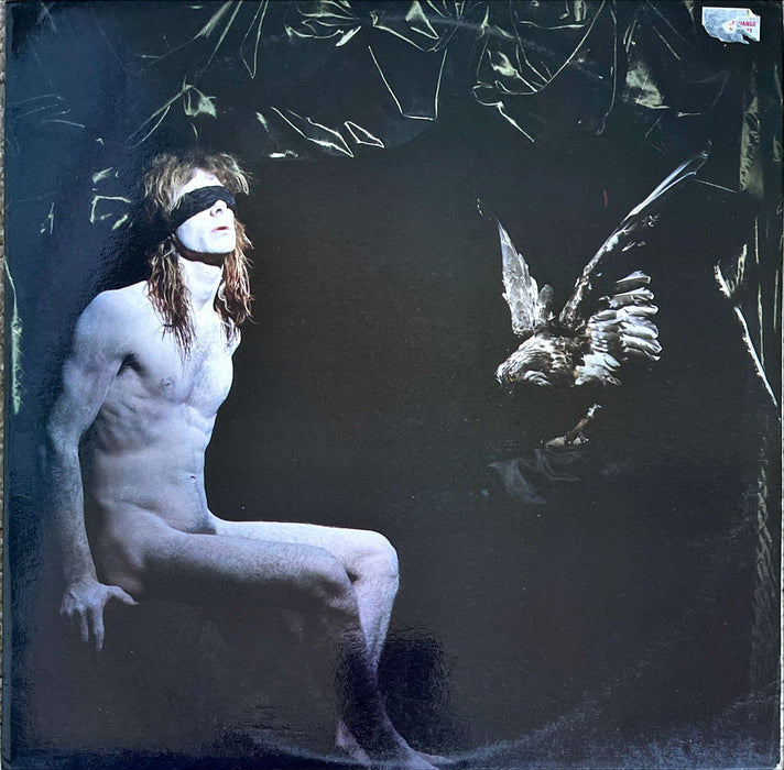 Fire - A Frame Of Purple Roses (Vinyl LP)