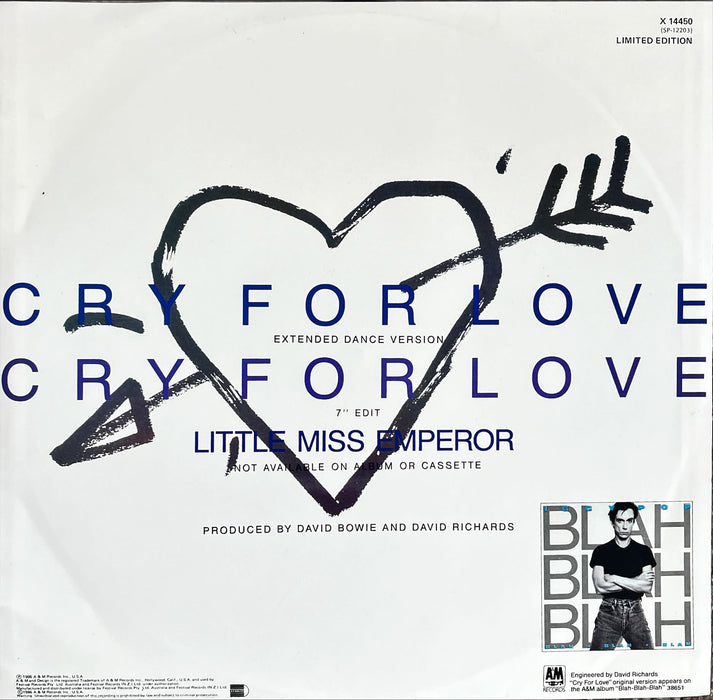 Iggy Pop - Cry For Love (12" Single)