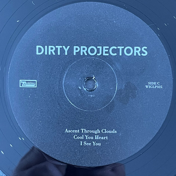 Dirty Projectors - Dirty Projectors (Vinyl 2LP)