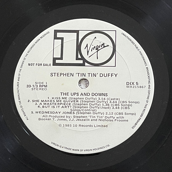 Stephen Duffy - The Ups And Downs (Vinyl LP)