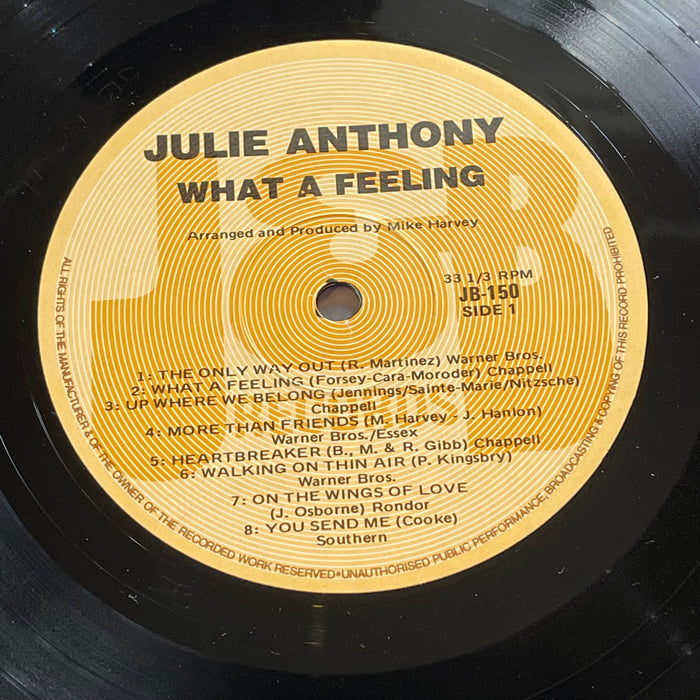 Julie Anthony - What A Feeling (Vinyl LP)