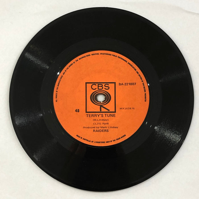 Raiders - Indian Reservation / Terry's Tune (7" Vinyl)