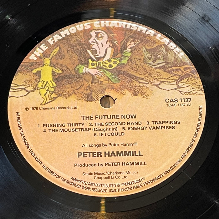 Peter Hammill - The Future Now (Vinyl LP)