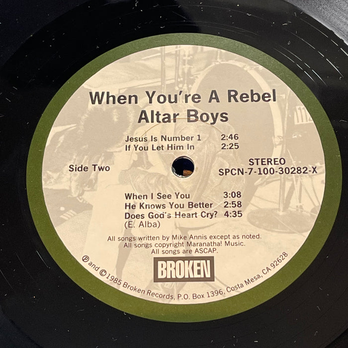 Ältar Boys - When You're A Rebel (Vinyl LP)[Gatefold]