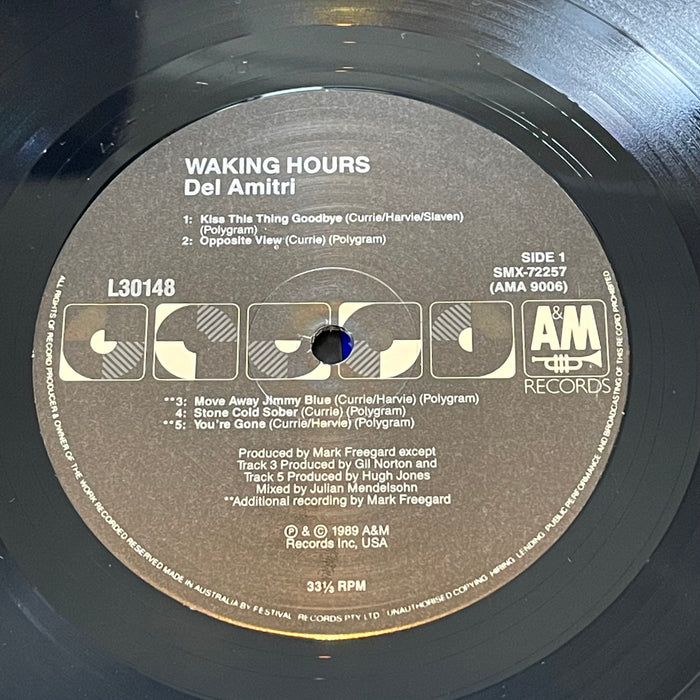 Del Amitri - Waking Hours (Vinyl LP)