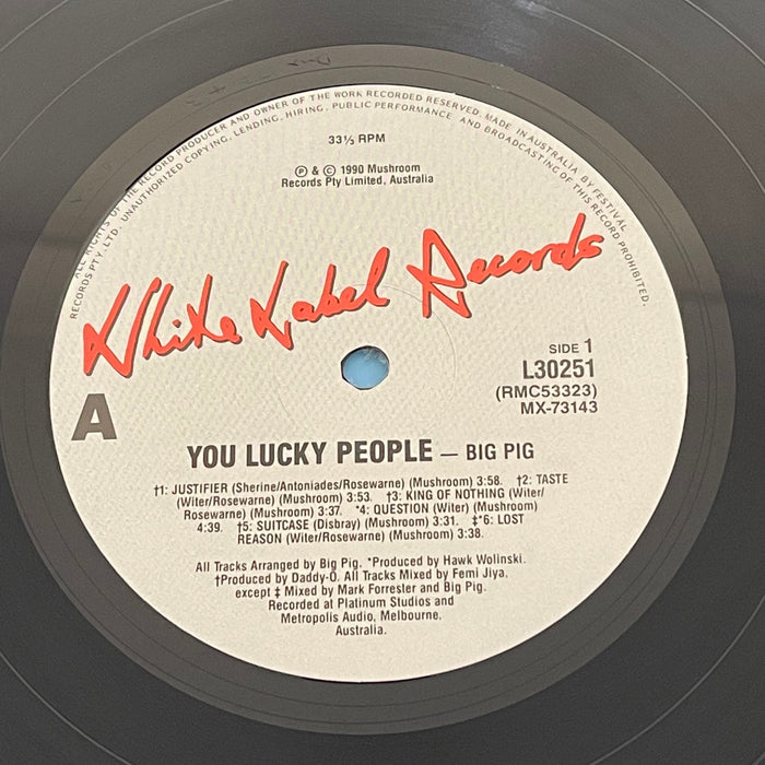 Big Pig - You Lucky People (Vinyl LP)