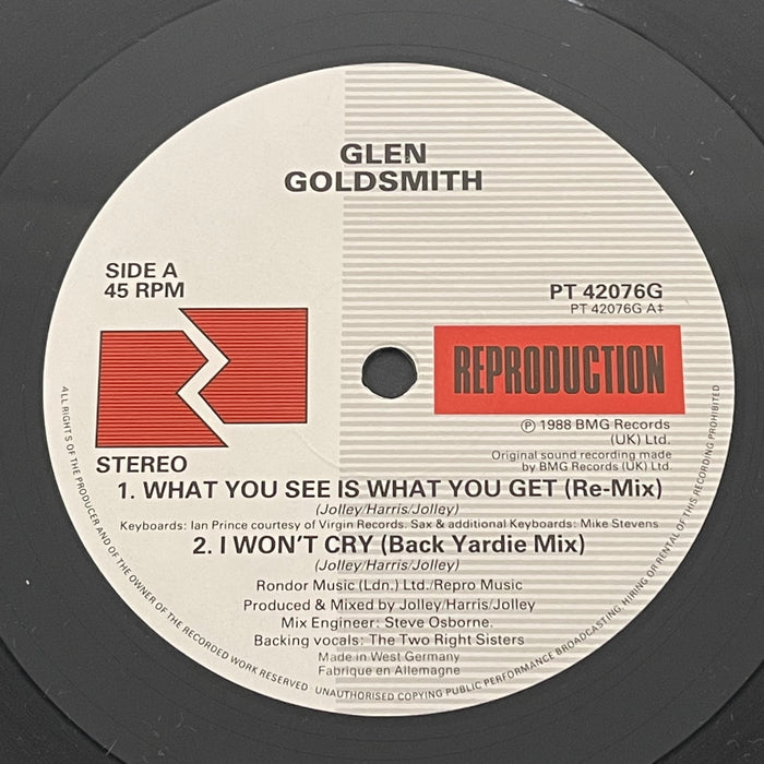 Glen Goldsmith - What You See Is What You Get (Vinyl 2LP)[Gatefold]