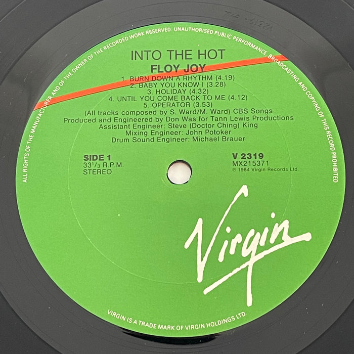 Floy Joy - Into The Hot (Vinyl LP)